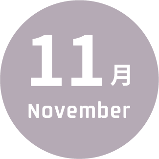 11月